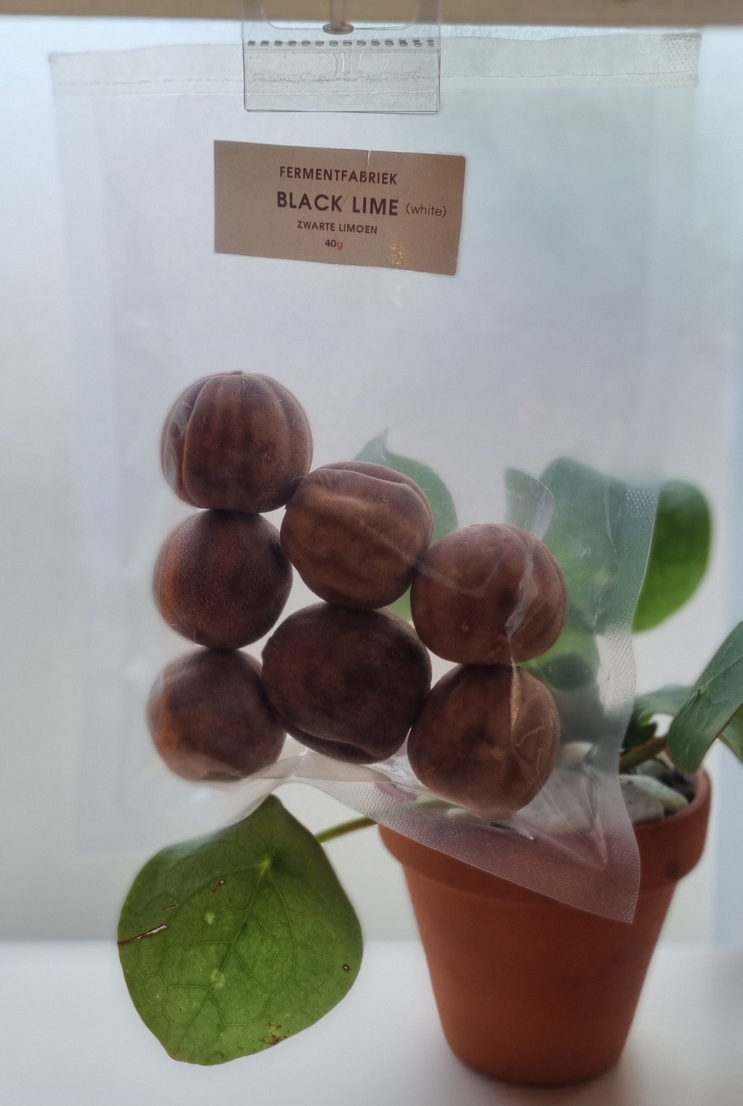 Black Limes