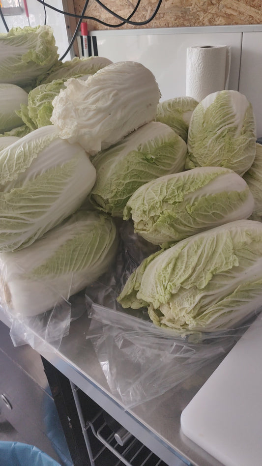 Kimchi - About the Natural Bacteria on Cabbage