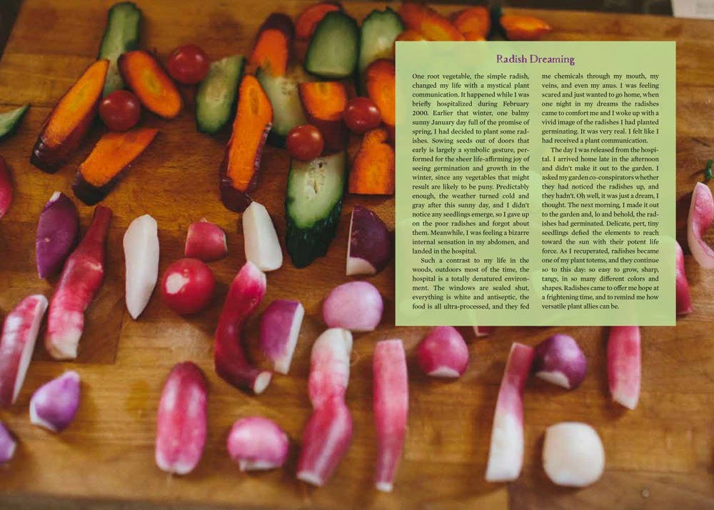 Wild Fermentation: The Craft of Live-Culture Foods