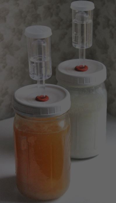 Fermentation Air Lock