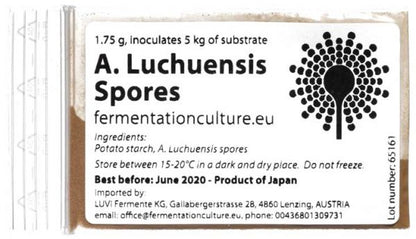 Fermentationculture Koji Spores