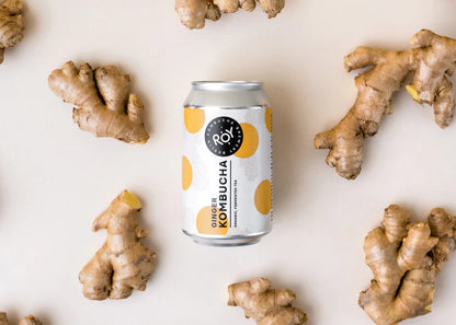 Roy Kombucha - Organic Probiotic Tea from Berlin (Multiple Flavors)